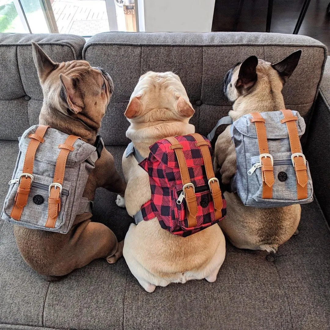 Dog Backpack