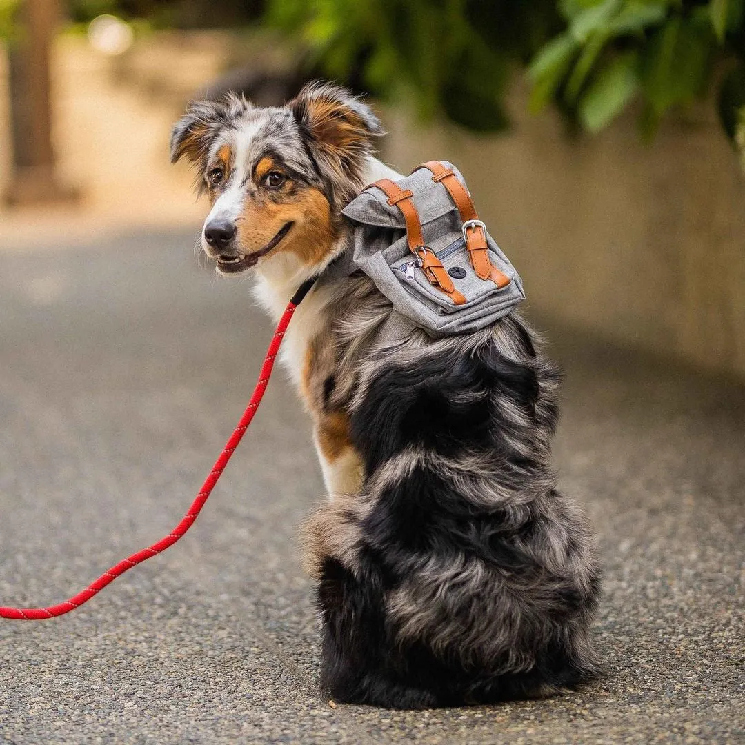 Dog Backpack