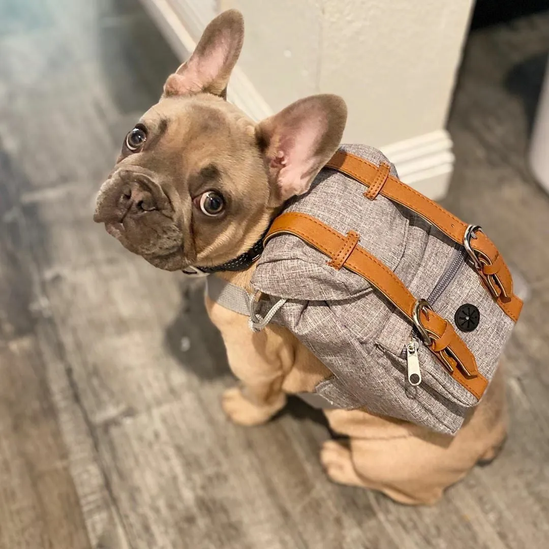 Dog Backpack