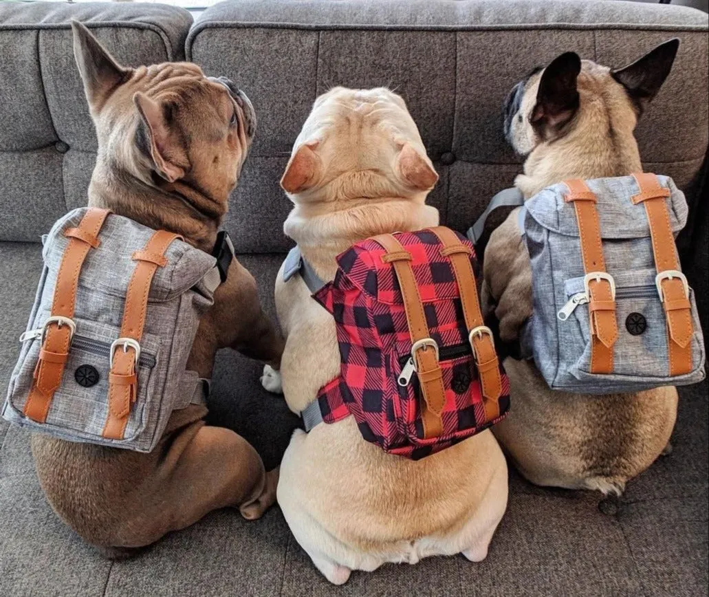 Dog Backpack