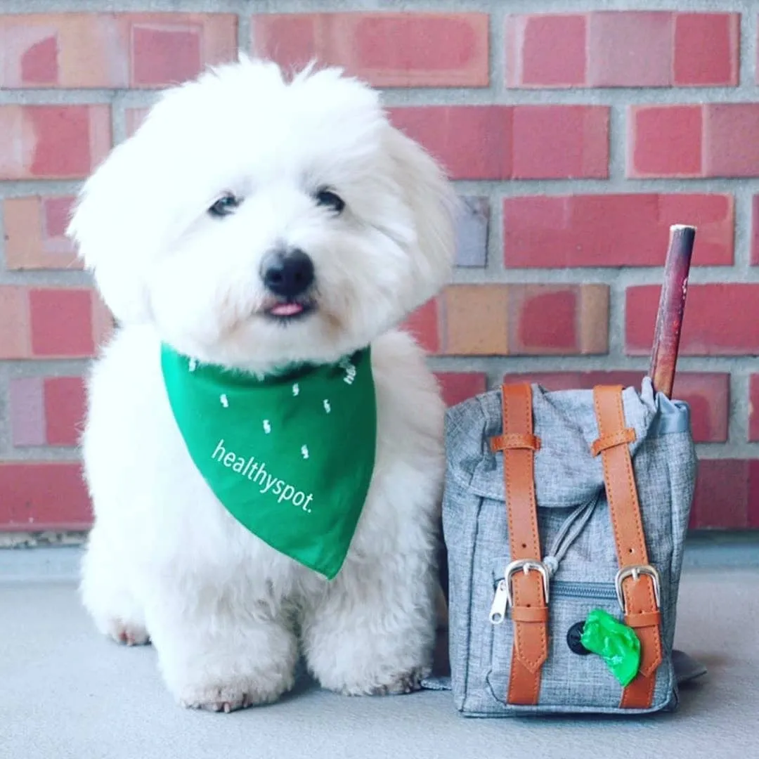 Dog Backpack