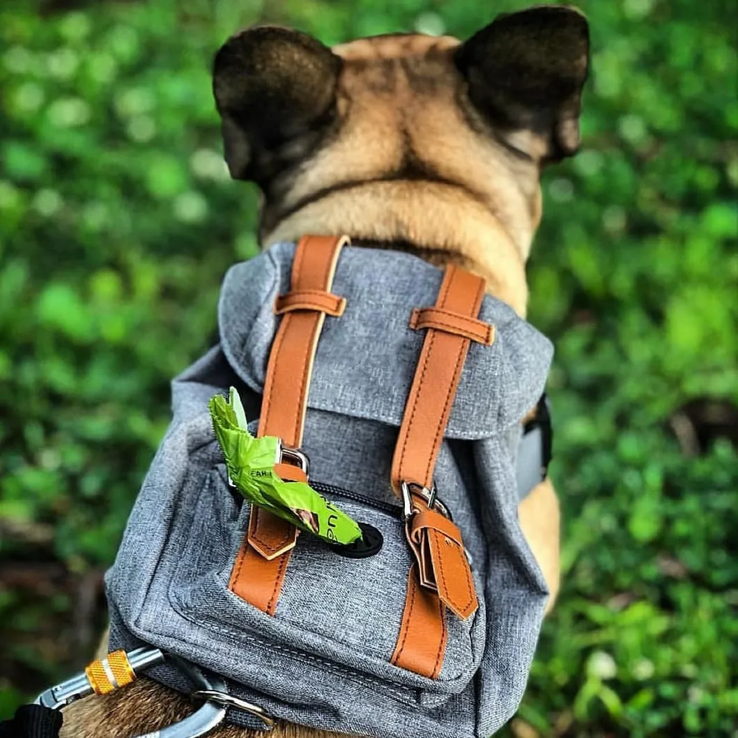 Dog Backpack