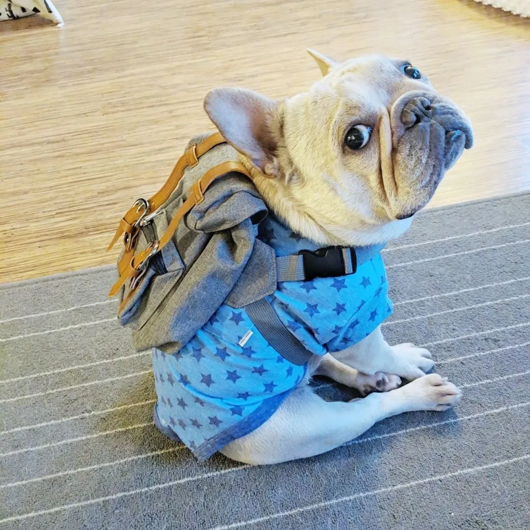 Dog Backpack