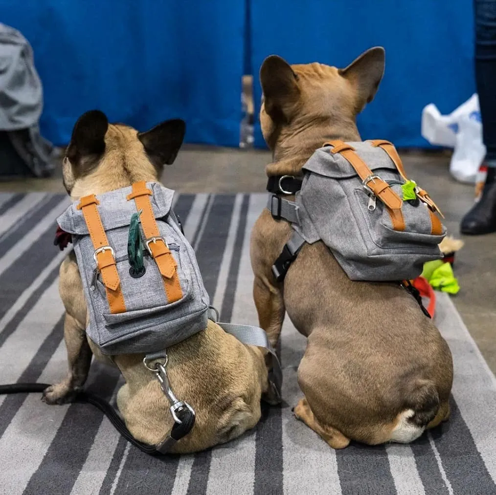 Dog Backpack