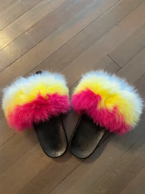 Multicolored Fox Slides