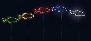 NEON SCHOOL OF FISH DISPLAY