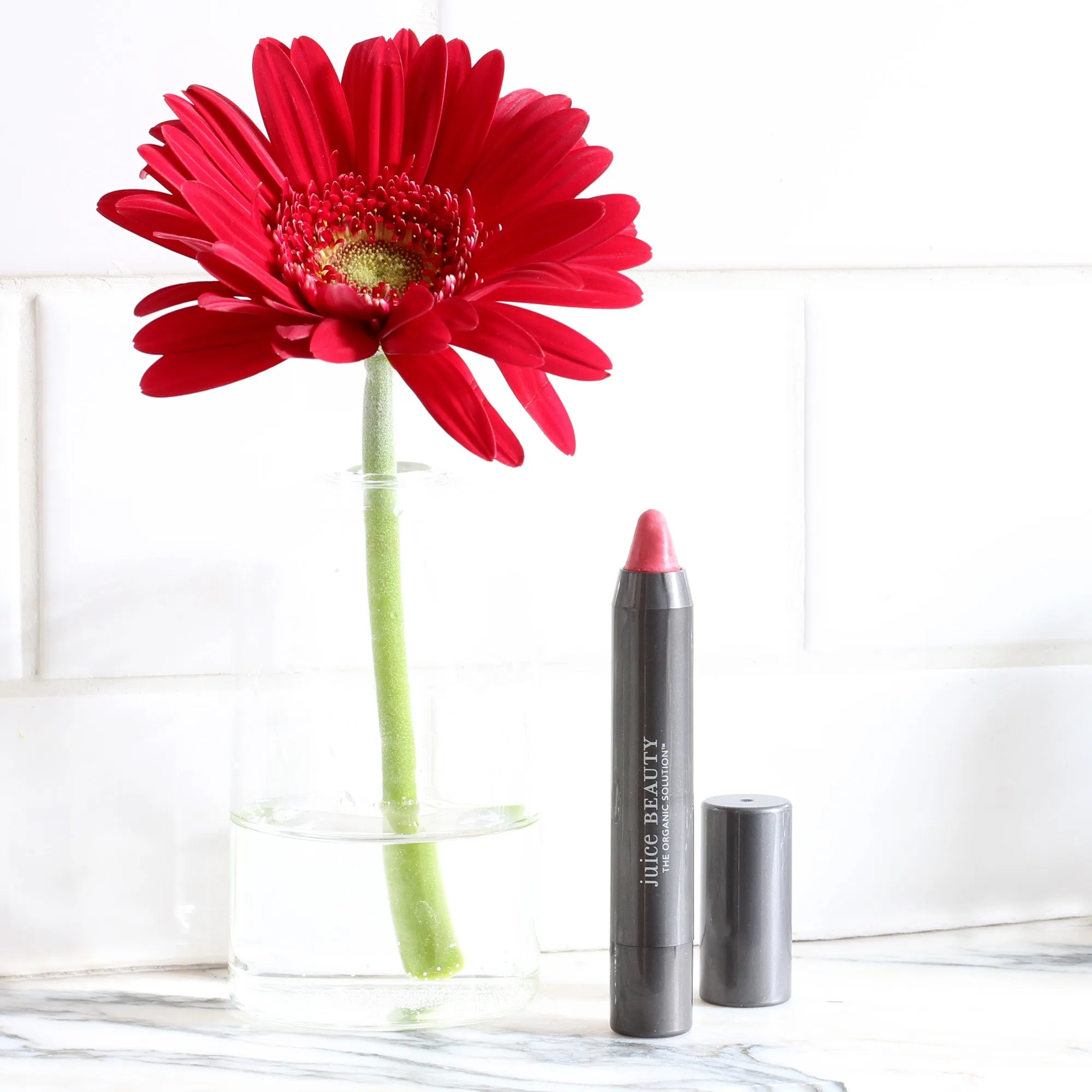 Phyto-Pigments Luminous Lip Crayon